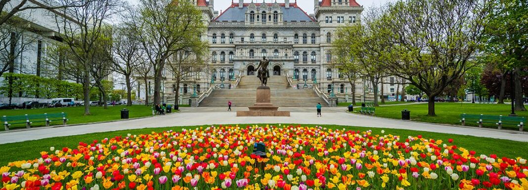 Realtors in Albany NY