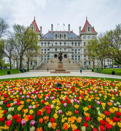 Realtors in Albany NY