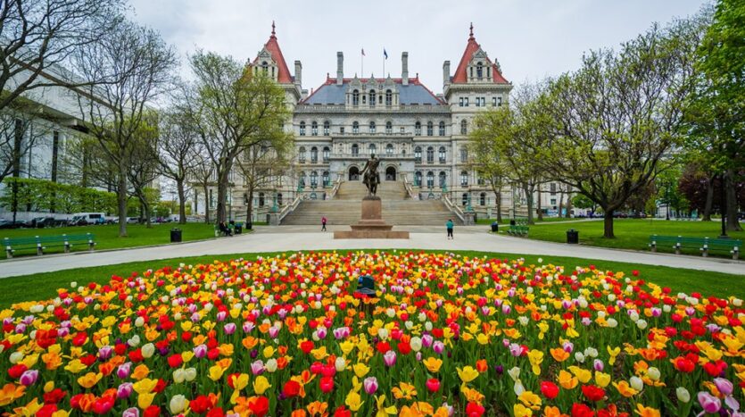 Realtors in Albany NY